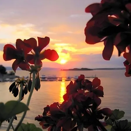 Holiday park Adriatic Dream - Mobile - Oaza Mira *